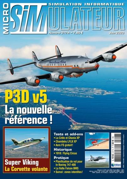 Micro simulateur numerique n° 317
