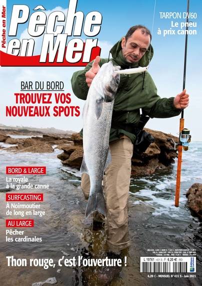 Peche en mer numerique n° 431