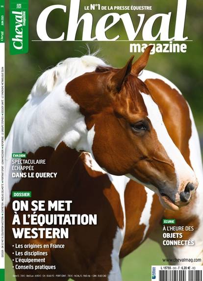 Cheval magazine numerique n° 593