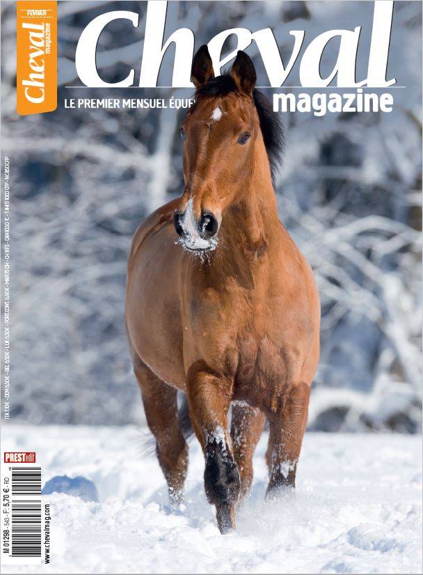 Cheval magazine numerique n° 543
