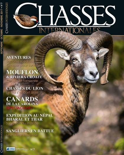 Chasse internationales num N° 7