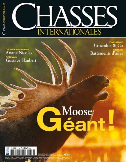 Chasse internationales num N°19