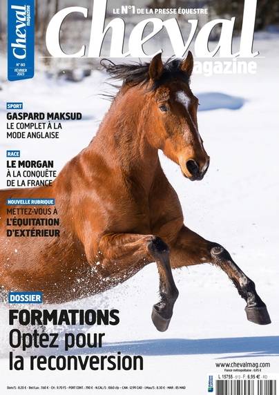 Cheval magazine numerique n° 613