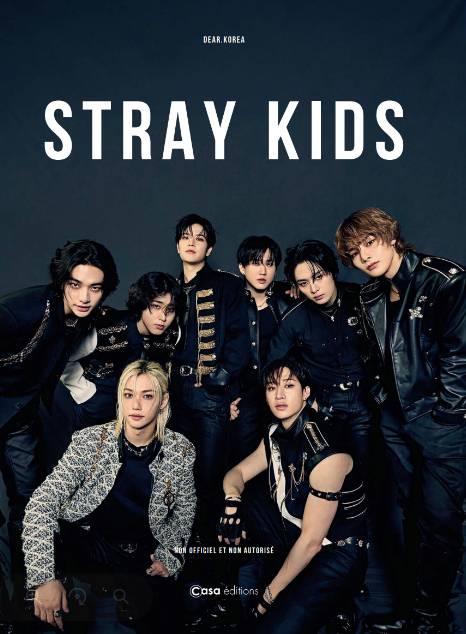 FanBook Stray Kids