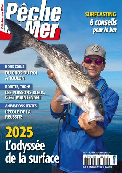 Pêche en mer n° 479