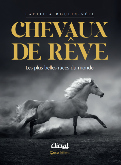 Chevaux de reves - NED